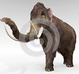 Woolly Mammoth