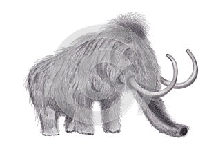 Woolly mammoth with a graphite pencil