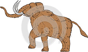 Woolly Mammoth Prancing Drawing