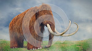 Woolly mammoth, prehistoric mammal in foggy landscape photo