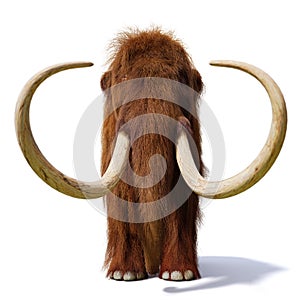 Woolly mammoth, prehistoric mammal front view isolated with shadow on white background