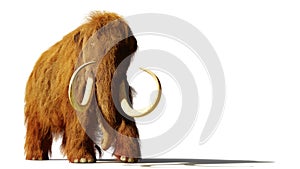 Woolly mammoth, prehistoric mammal isolated with shadow on white background 3d rendering