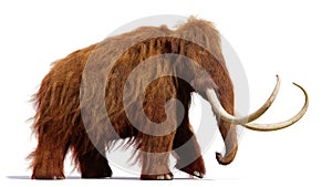 Woolly mammoth, running prehistoric mammal isolated with shadow on white background