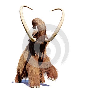Woolly mammoth, running prehistoric mammal isolated with shadow on white background