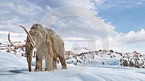 Woolly mammoth scene in environment with snow. realistic 3d illustration