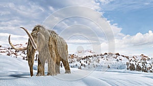 Woolly mammoth scene in environment with snow. realistic 3d illustration photo