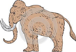 Woolly Mammoth Side Drawing