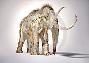 Woolly mammoth with skeleton in ghost effect, front perspective view