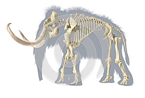 Woolly mammoth skeleton, realistic 3d illustration, side view