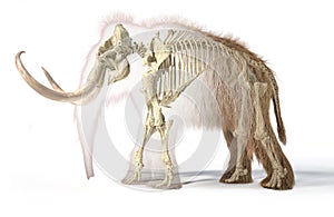 Woolly mammoth with skeleton, viewed from a side