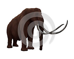 Woolly Mammoth Standing Ice Age Isolated, Transparent Background