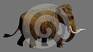 Woolly Mammoth Walking On Gray Background Animation