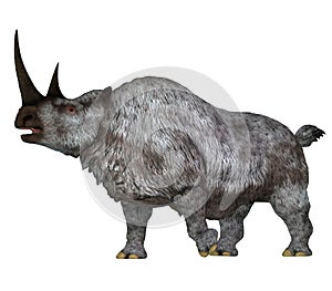 Woolly Rhino Side Profile