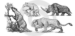 Woolly rhinoceros Cave lion. Ground sloth, Megatheriidae. Palorchestes or Marsupials of the family Palorchestidae