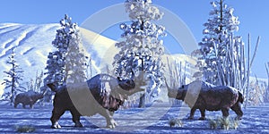 Woolly Rhinoceros in Winter