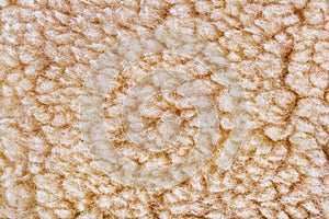 Woolly sheep fleece background