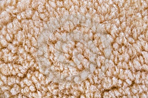 Woolly sheep fleece background