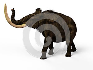 The wooly Mammoth, 3D Illustration photo