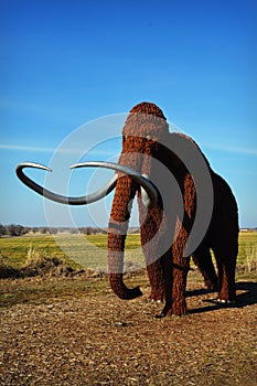 Wooly Mammoth photo