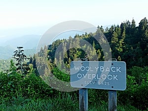 Woolyback Overlook Sign Blue Ridge Parkway