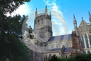 Worcester Cathedral tower and south transept between bushes