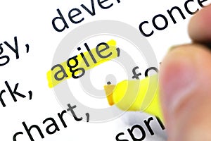 Word agile undelnines among other words printed on white paper. projects methodology and development team workflow concept