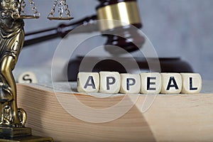 Word APPEAL composed of wooden letters. photo