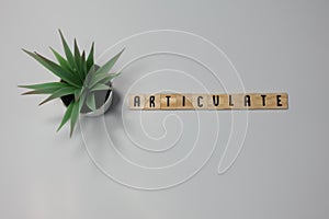 The word Articulate is written in wooden letter tiles