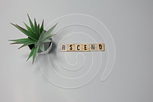 The word Ascend is written in wooden letter tiles