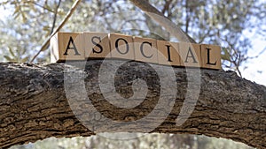 Word Asocial created from wooden cubes. Photographed on the tree.