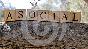 Word Asocial created from wooden cubes. Photographed on the tree..