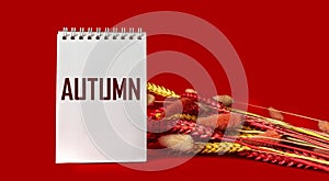 Word Autumn on notepad and red background with ears of wheat, creative autumn design