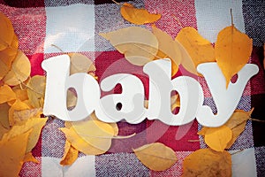 Word BABY on a plaid with autumn leaves