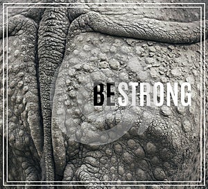 Word Be Strong. Closeup of the strong armor of a rhinoceros.