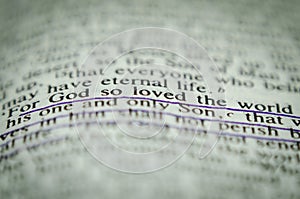 Word in bible John 3 16 photo