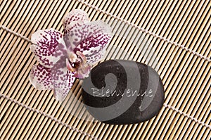 Word Bienvenue meaning welcome in French written on a black stone with orchid