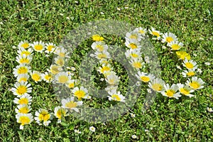 Word BIO written with blossoms