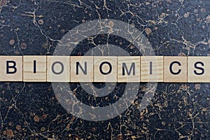 word bionomics from wooden letters in black font