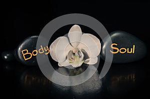 Word body and soul and white orchid
