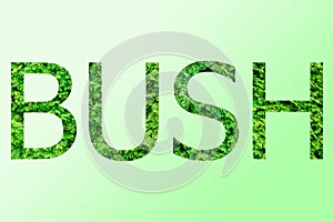 The word bush
