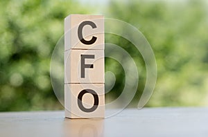 The word CFO - chief financial officer, built from wooden cubes outdoors on the background of nature