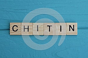 word chitin made of small gray wooden letters photo