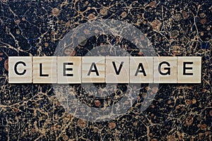 word cleavage from wooden letters in black font