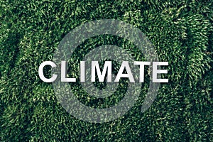 Word Climate on moss, green grass background. Top view. Copy space. Banner. Biophilia concept. Nature backdrop