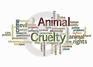 Word Cloud with ANIMAL CRUELTY concept create with text only