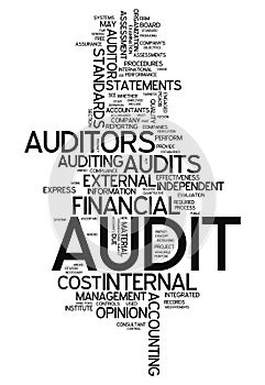 Word Cloud Audit