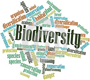 Word cloud for Biodiversity photo
