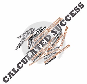 Word cloud for Calculated Success photo