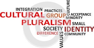 word cloud - cultural pluralism