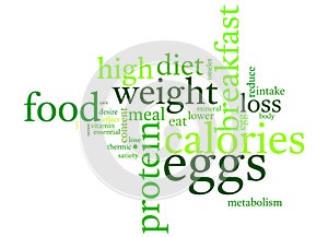Word cloud dealing with words of healthy lifestyle and weight loss using the egg diet rich in protein